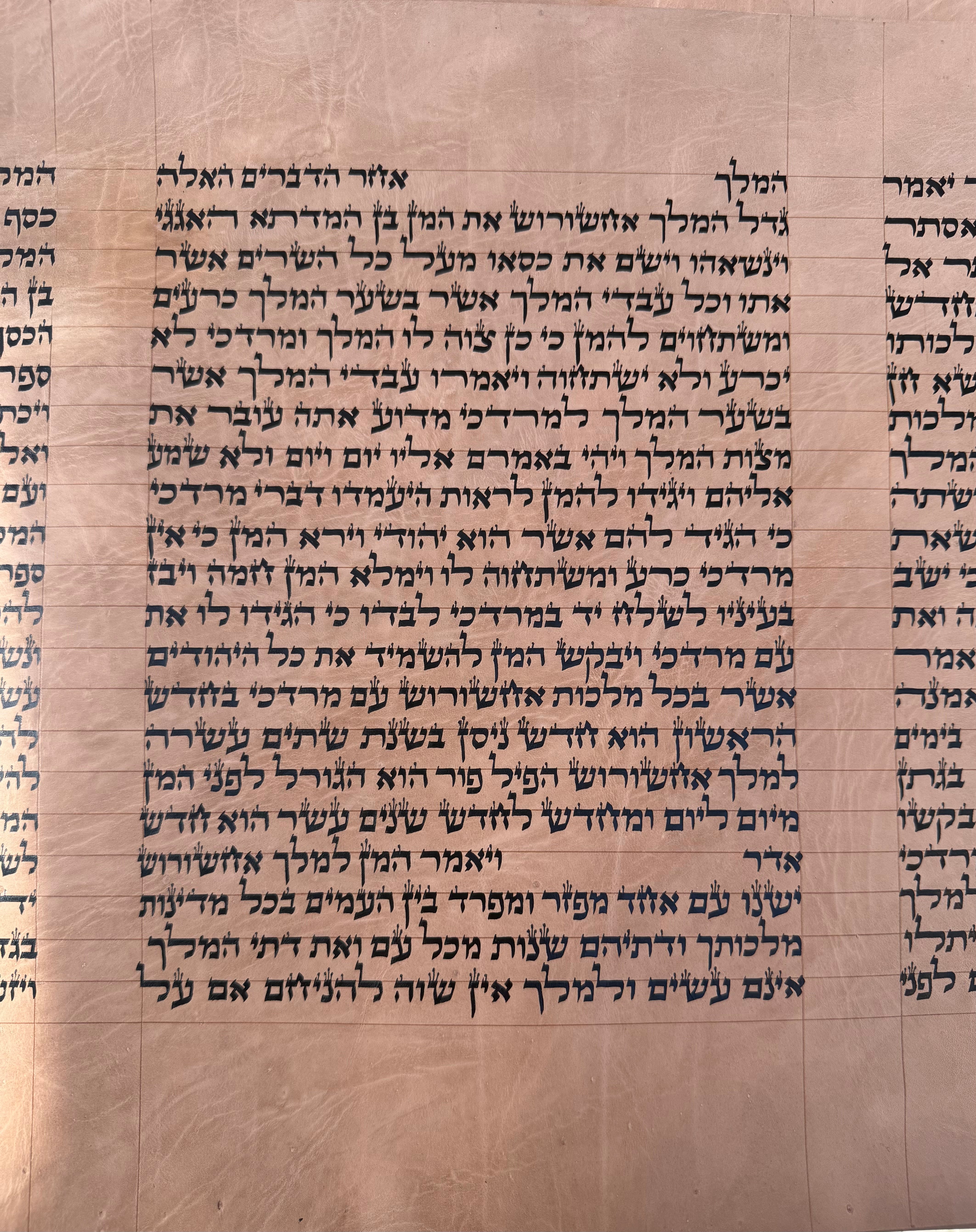 Megillat Esther on Gevil Ktav Sephardi Very Mehudar - 12 inch Tall - with Leatherette case - Mitzvahland.com