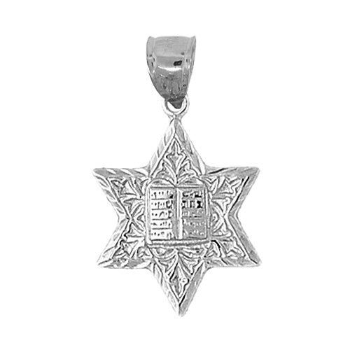 14K Gold Jewish Star of David w/Bible Charm - Mitzvahland.com