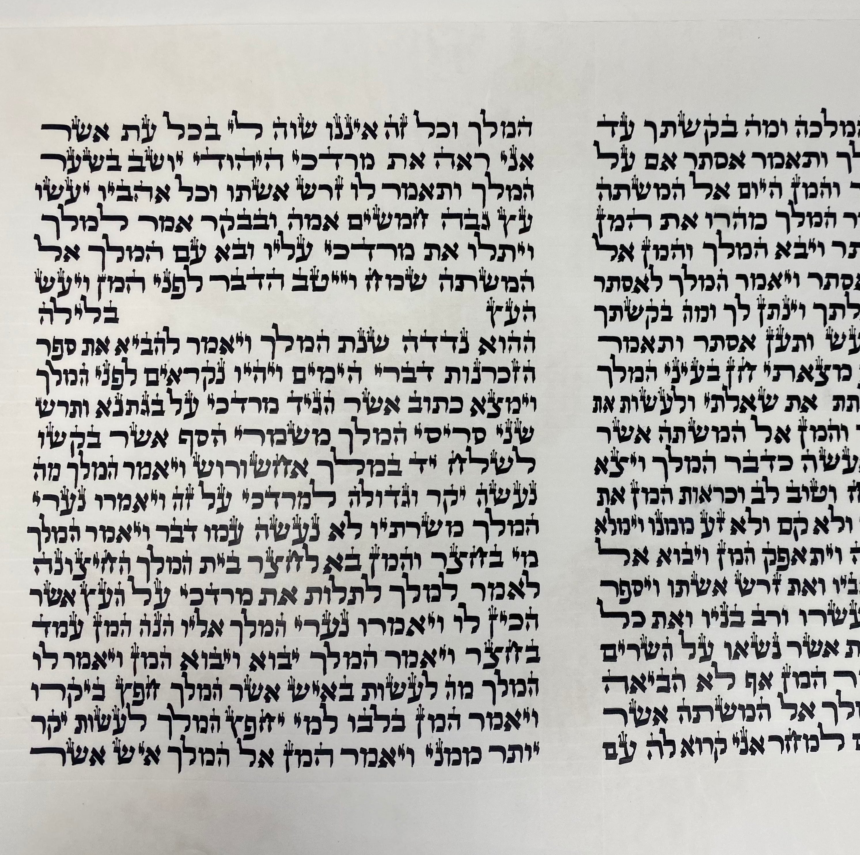 Megillah Scroll Sephardi 12 inch Tall Mehudar - with Leatherette case