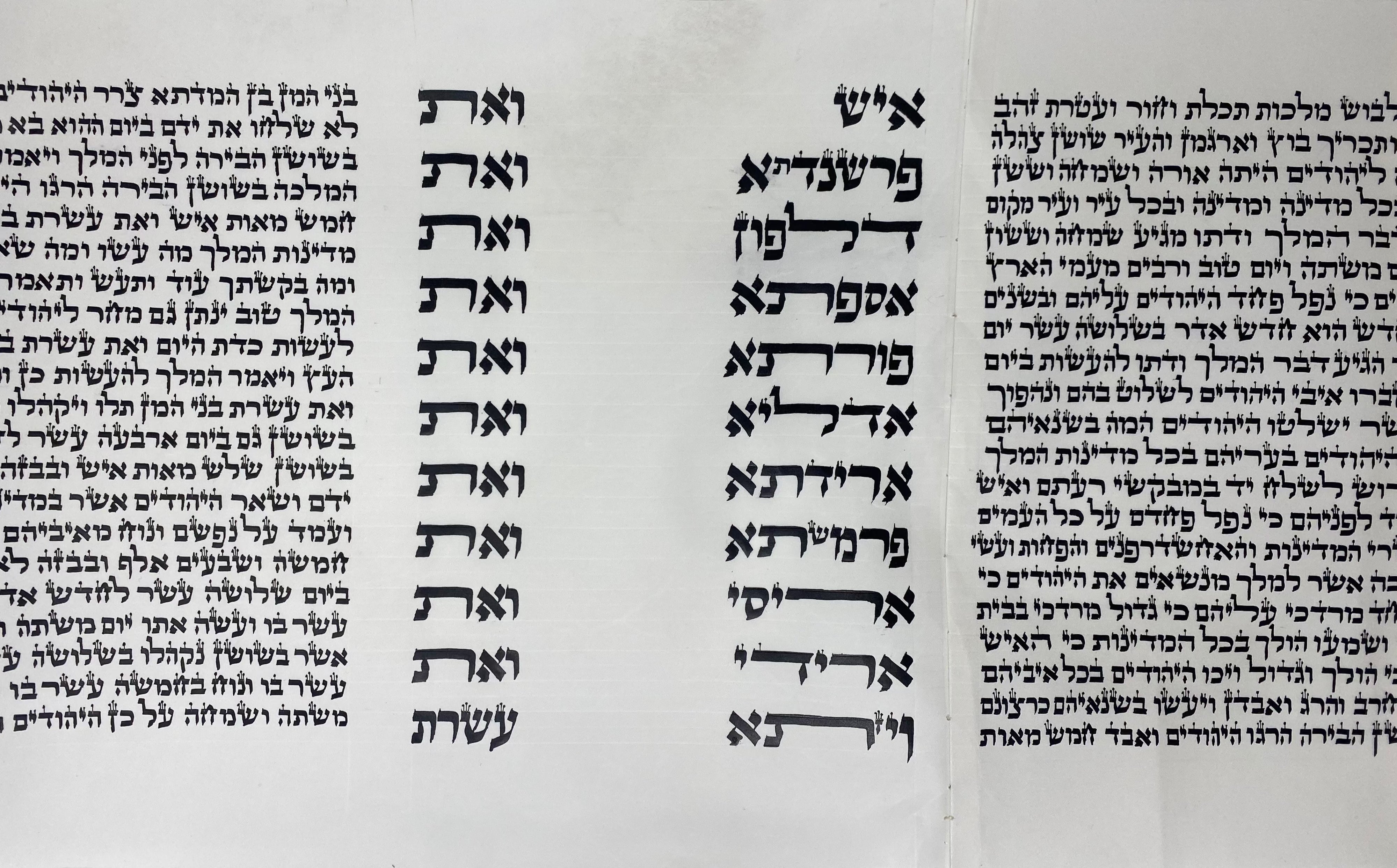 Megillah Scroll Sephardi 12 inch Tall Mehudar - with Leatherette case