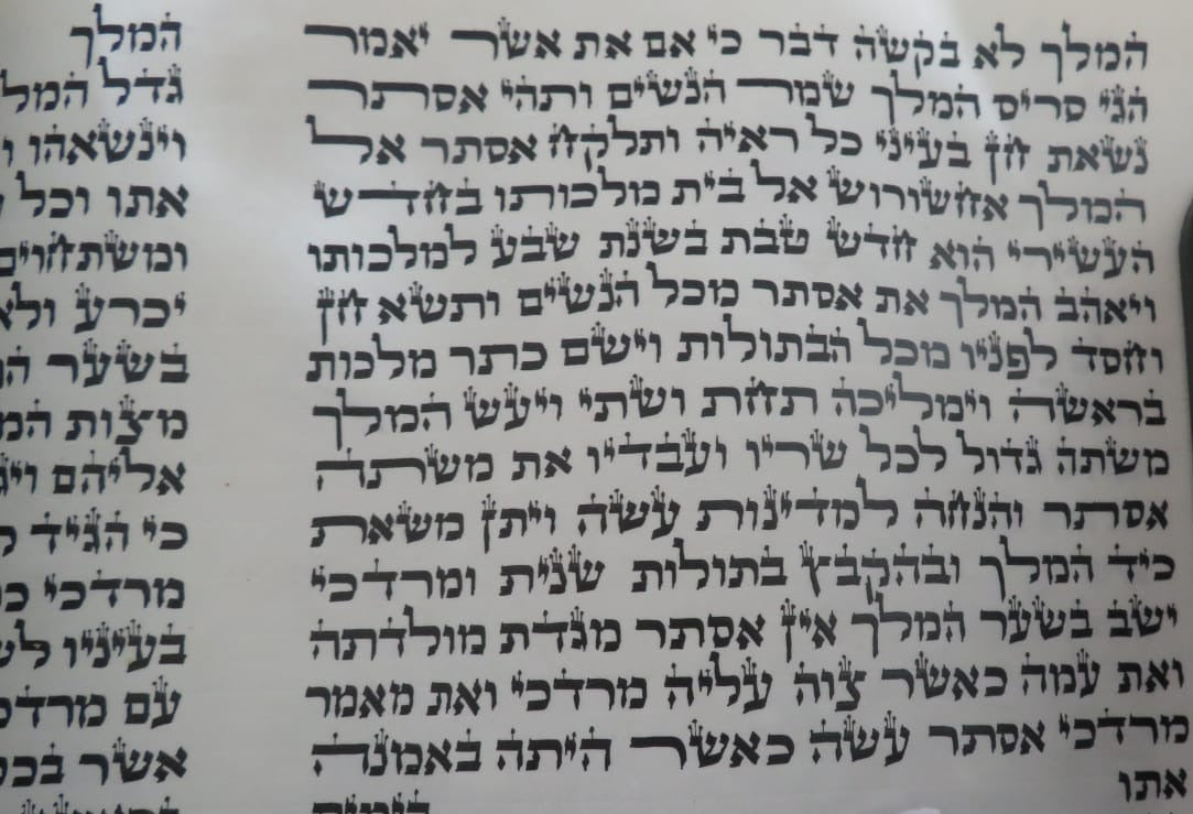 Megillah Scroll Sephardi 12 inch Tall Mehudar - with Leatherette case