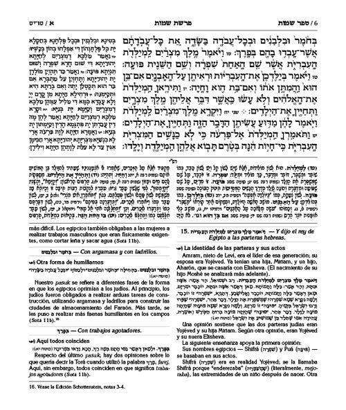 Wengrowsky Spanish Edition of Chumash with the Teachings of the Talmud - 5 Volume Set