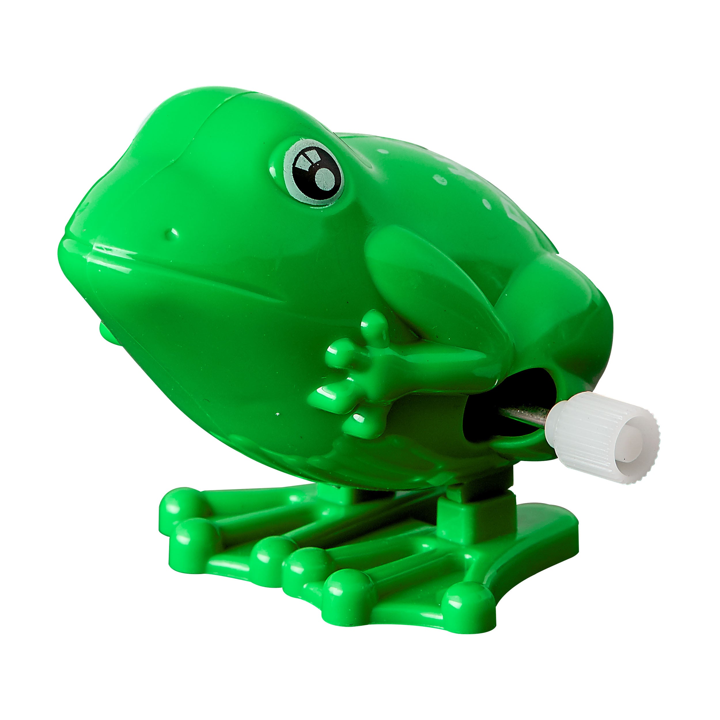 Wind Up "Hoppy Passover" Frog - Mitzvahland.com