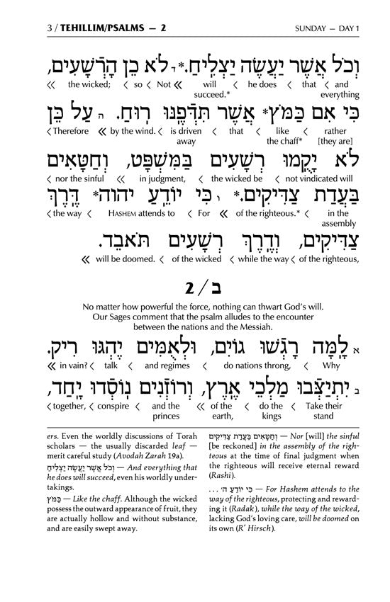 Interlinear Tehillim / Psalms Pocket Size, Hard Cover The Schottenstein edition
