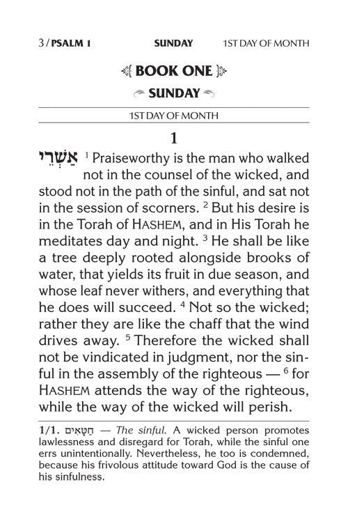 Large Type Tehillim / Psalms Pocket Size