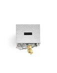 Pomegranate Silver & Gold Tzedakah Box