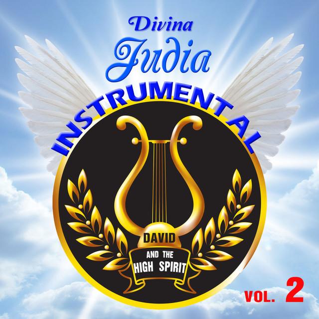 Divina Judia Instrumental Vol.2 Books / Seforim - Mitzvahland.com All your Judaica Needs!