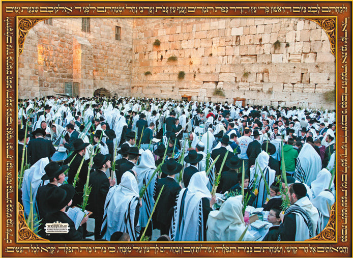 Laminated  Poster - Sukkot at Kotel