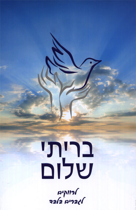 B'riti Shalom Hebrew for Single - Mitzvahland.com