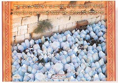 Laminated Poster
