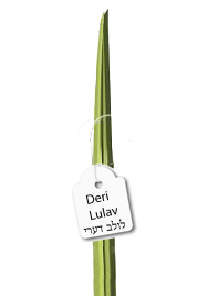 Deri Lulav - ALONE - Mitzvahland.com All your Judaica Needs!