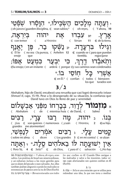 El Libro de los Salmos (con una Tradiccion Interlineal - Full Size