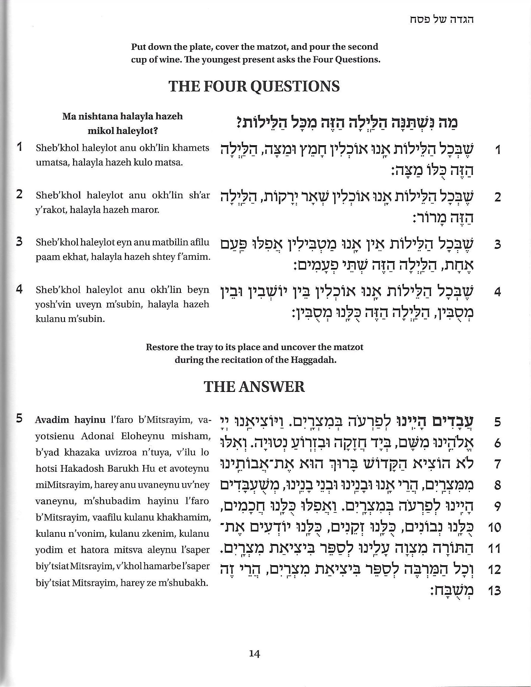Goldberg Transliterated Passover Haggadah - Large