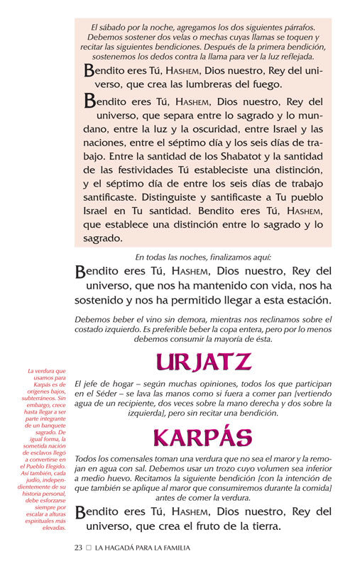 La Hagadà para la Familia / Family Haggadah - Spanish Edition