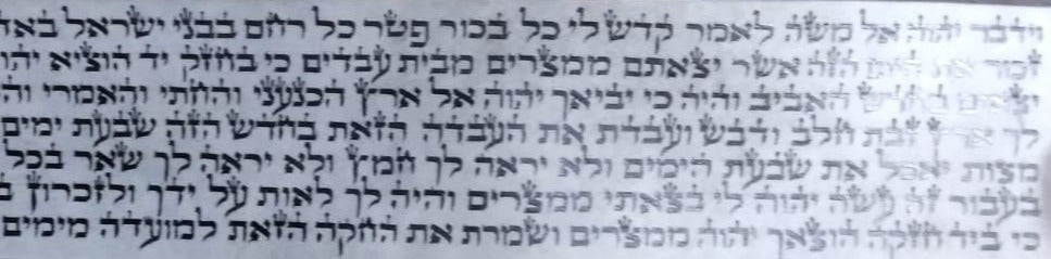 Superior Tefillin - Gassot Very Mehudar Sephardi - Perodot