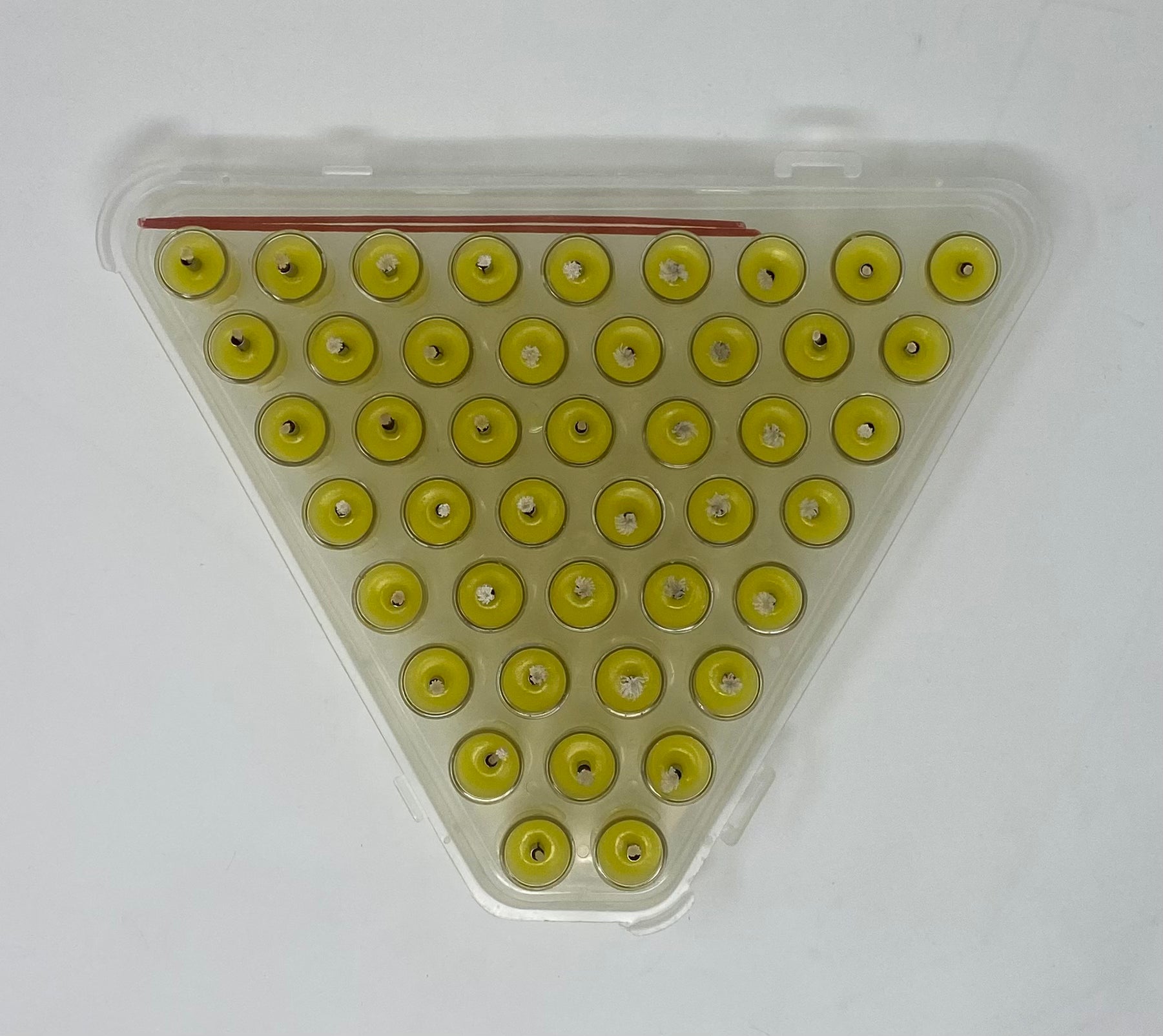 Small Solid Jelled Olive Oil Candles for Hanukkah