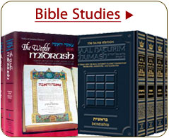 Torah Commentaries