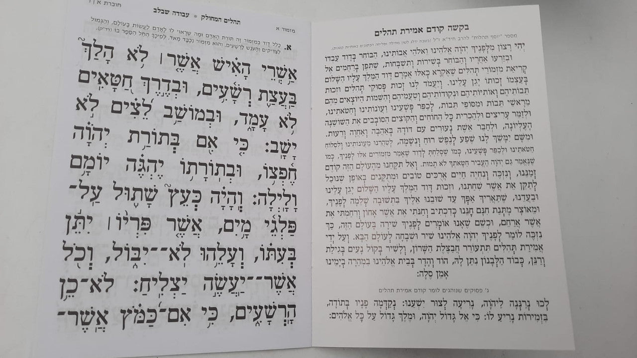 Tehillim Mechulak Hebrew - 28 Booklets - תהילים המחולק עבודה שבלב