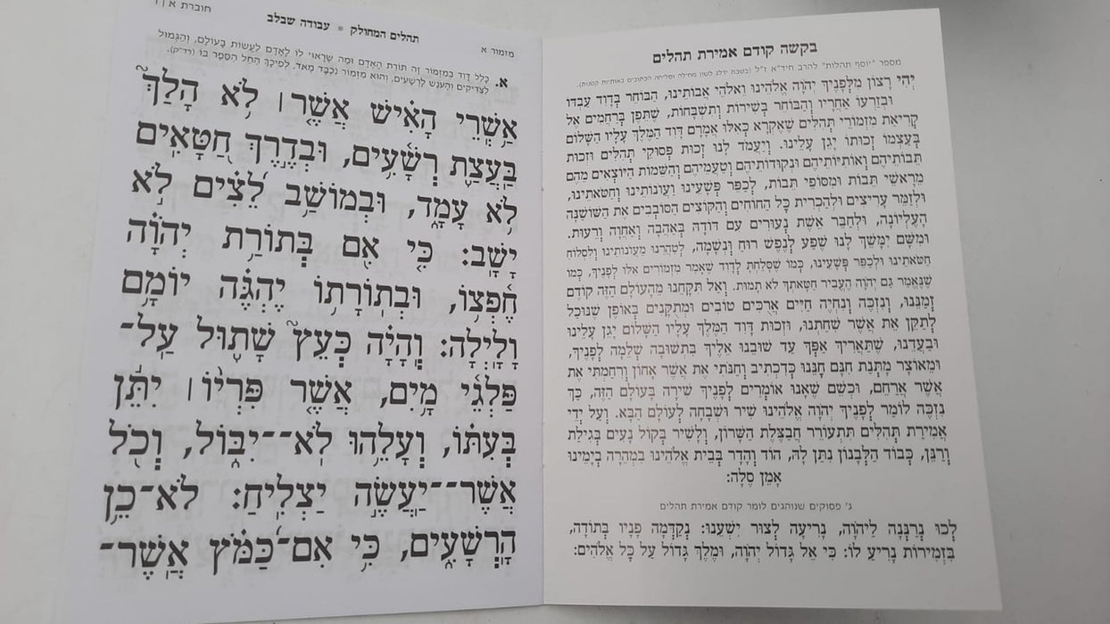 Tehillim Mechulak Hebrew - 28 Booklets - תהילים המחולק עבודה שבלב
