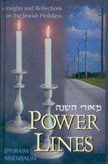 Power lines - insights and reflections on the Jewish Holidays