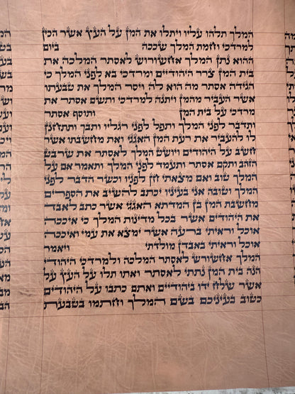 Megillat Esther on Gevil Ktav Sephardi Very Mehudar  - 12 inch Tall - with Leatherette case - Mitzvahland.com