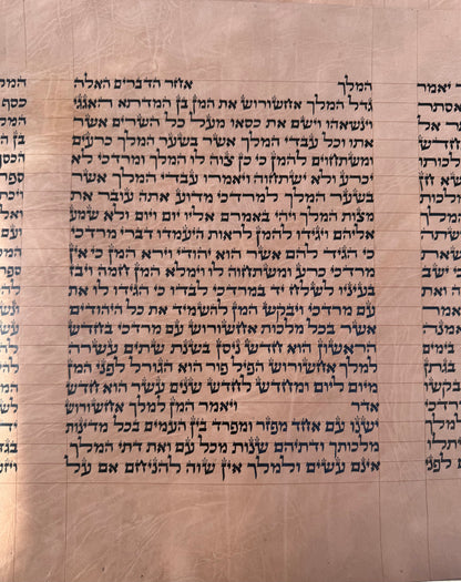 Megillat Esther on Gevil Ktav Sephardi Very Mehudar  - 12 inch Tall - with Leatherette case - Mitzvahland.com