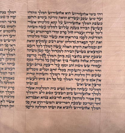 Megillat Esther on Gevil Ktav Sephardi Very Mehudar  - 12 inch Tall - with Leatherette case - Mitzvahland.com