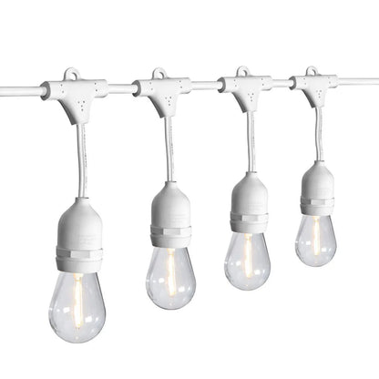 Sukkah LED Light - 24 Feet Long 12 Socket Outdoor String Light Set