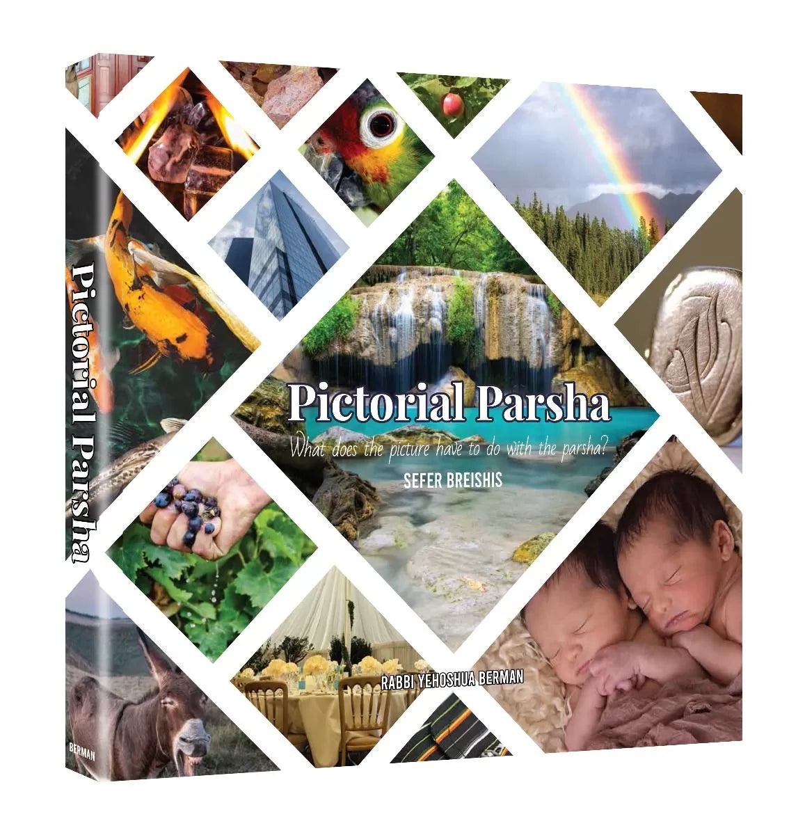 Pictorial Parsha - Sefer Bereshit
