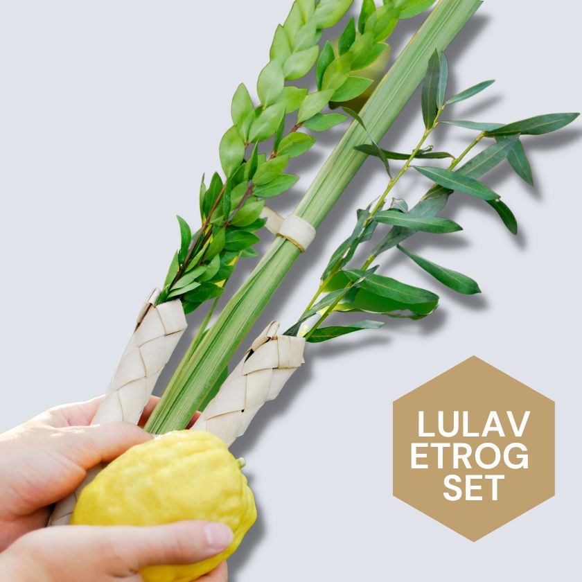 Lulav and Etrog