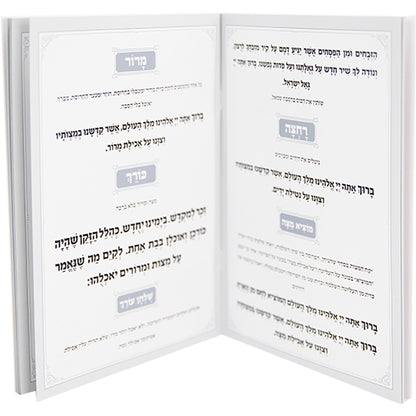 Passover Hagadah Soft Cover - Hebrew only