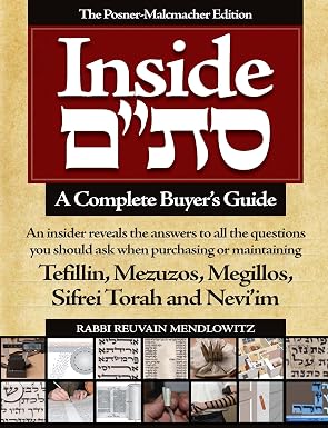 Inside Sta"m - A Complete Buyer's Guide
