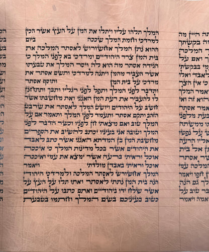 Megillat Esther on Gevil Ktav Sephardi Very Mehudar  - 12 inch Tall - with Leatherette case - Mitzvahland.com