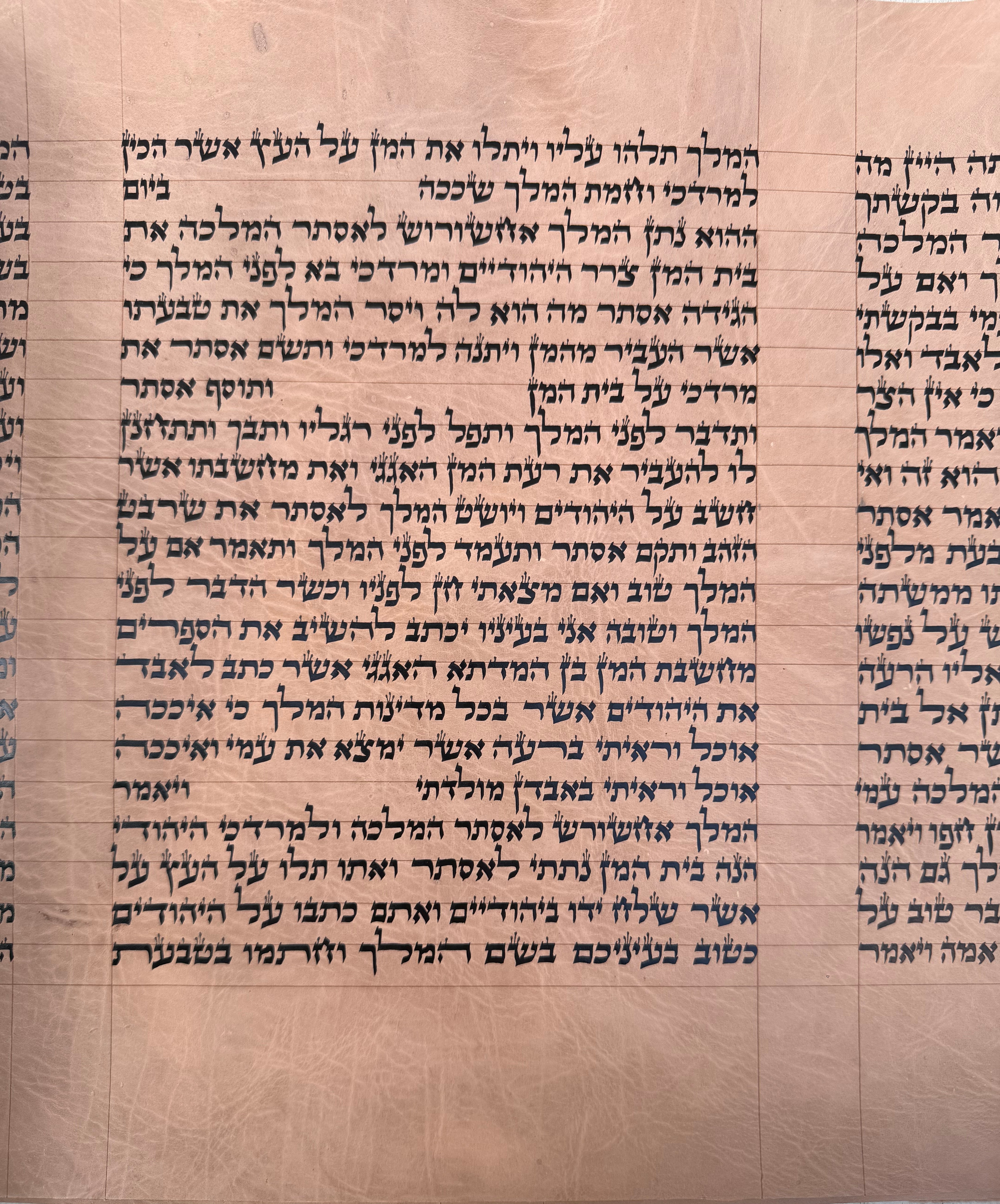 Megillat Esther on Gevil Ktav Sephardi Very Mehudar  - 12 inch Tall - with Leatherette case - Mitzvahland.com