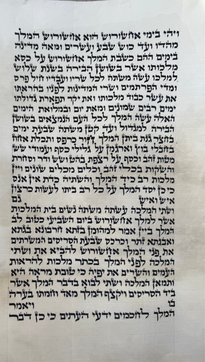 Megillah Scroll  Sephardi 12 inch Tall Mehudar - with Leatherette case