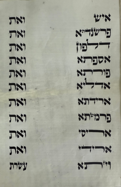 Megillah Scroll  Sephardi 12 inch Tall Mehudar - with Leatherette case