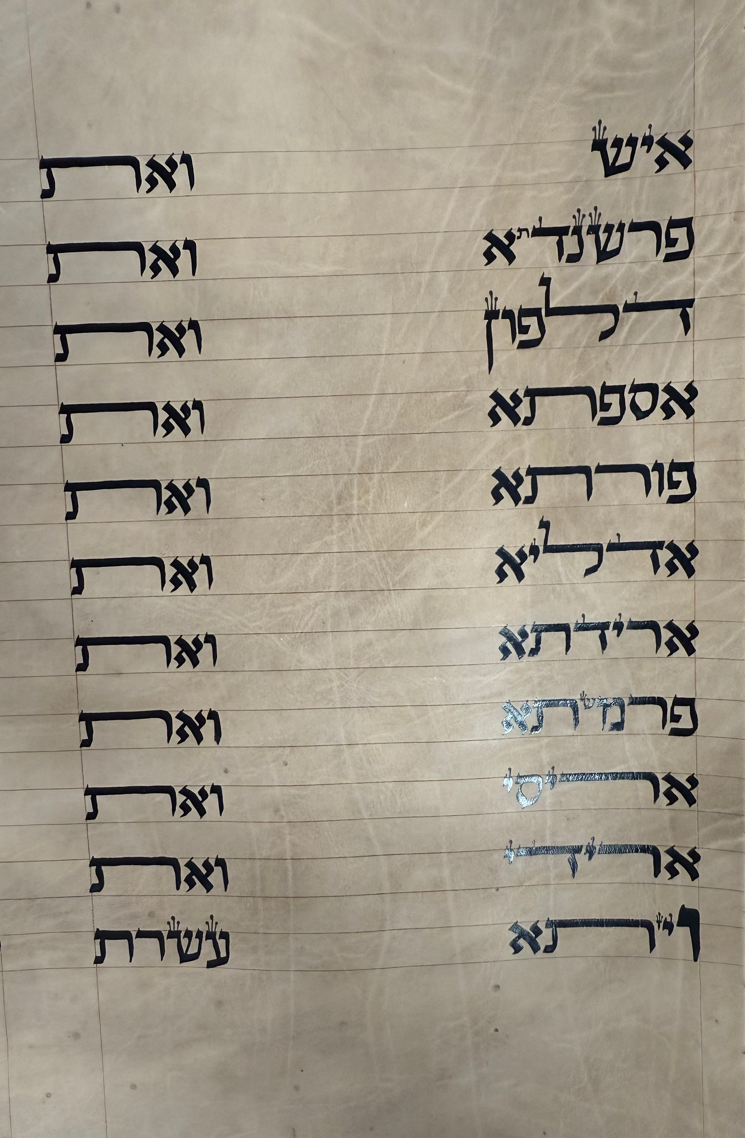 Megillat Esther on Gevil Ktav Sephardi Very Mehudar  - 12 inch Tall - with Leatherette case - Mitzvahland.com