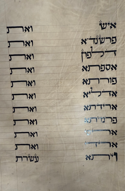 Megillat Esther on Gevil Ktav Sephardi Very Mehudar  - 12 inch Tall - with Leatherette case - Mitzvahland.com