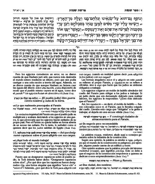 Wengrowsky Spanish Edition of Chumash with the Teachings of the Talmud - 5 Volume Set