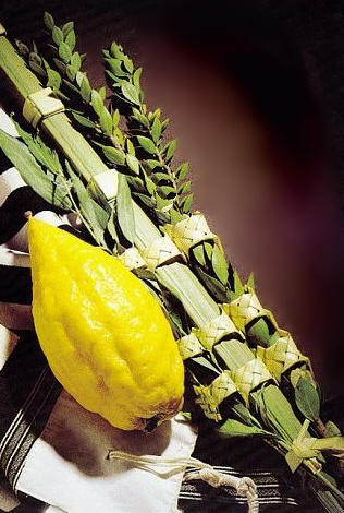 Lulav and Etrog Set Moroccan