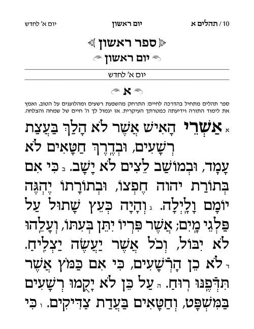 Large Type Tehillim - Hasbani Family Edition
