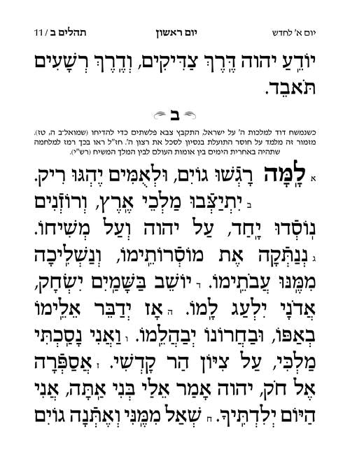 Large Type Tehillim - Hasbani Family Edition