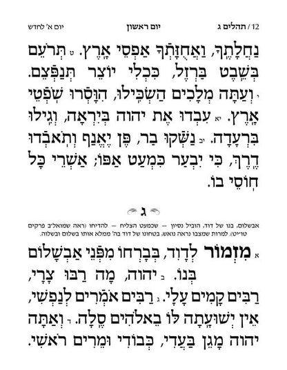 Large Type Tehillim - Hasbani Family Edition