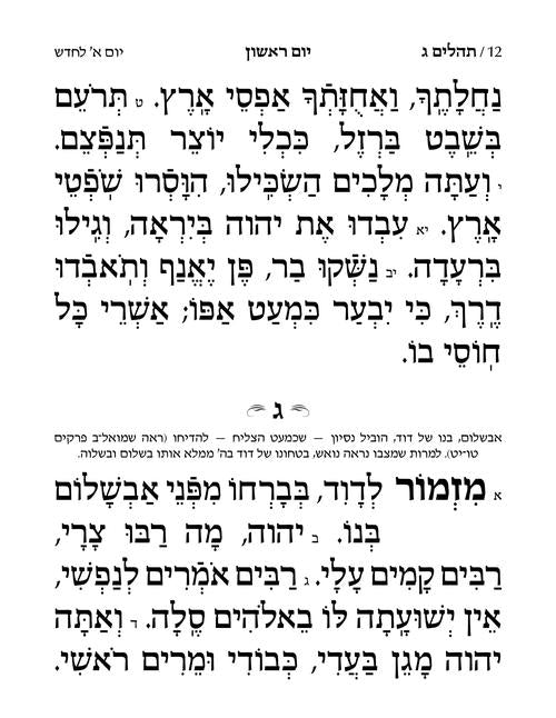 Large Type Tehillim - Hasbani Family Edition