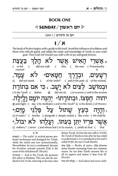 Interlinear Tehillim / Psalms Pocket Size, Hard Cover The Schottenstein edition
