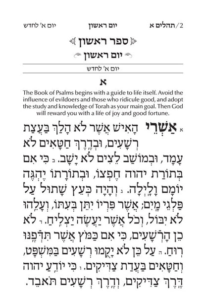 Large Type Tehillim / Psalms Pocket Size