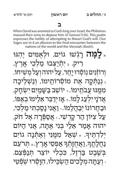Large Type Tehillim / Psalms Pocket Size