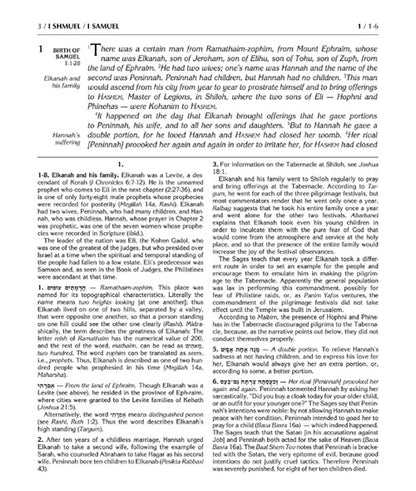 Rubin / Milstein Prophets and Writings Full size 13 volume Set