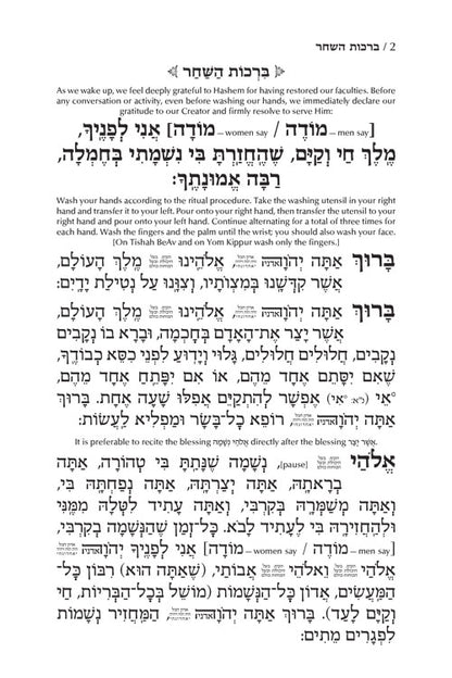 Siddur Tefillah LeDavid - Hebrew-Only - Full Size – Sephardic / Edot HaMizrach - Mitzvahland.com