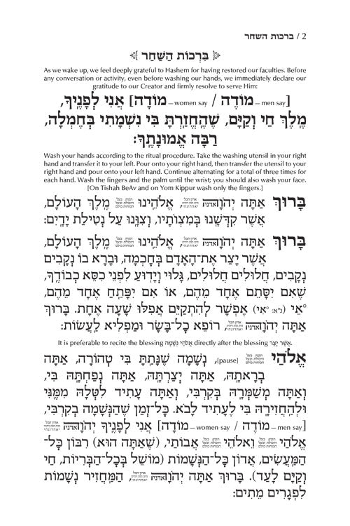 Siddur Tefillah LeDavid - Hebrew-Only - Full Size – Sephardic / Edot HaMizrach - Mitzvahland.com